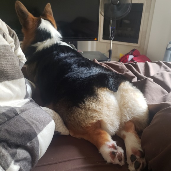 Meet your Posher, Marisa - Picture 1 of 1